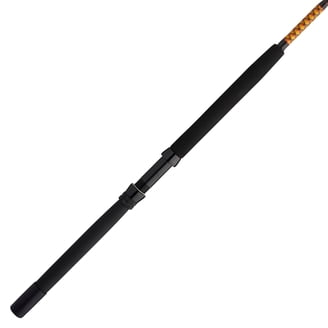 10 fly fishing rod PAYLOAD Fly Fishing Rod 10 Weight, 9ft main image 0