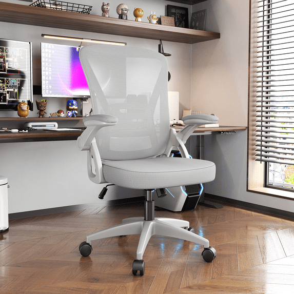 Biggzia Ergonomic Office Chair, Mid-Back Computer Chair with Adjustable Height, Flip-Up Arms and Lumbar Support, Mesh Desk Chair, Gray