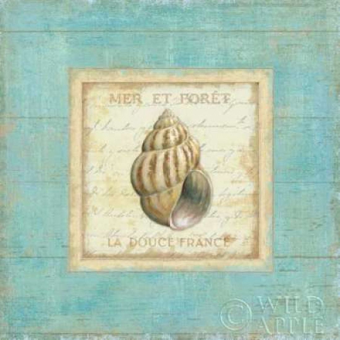 Bijou de Mer II Canvas Art - Daphne Brissonnet (24 x 24)