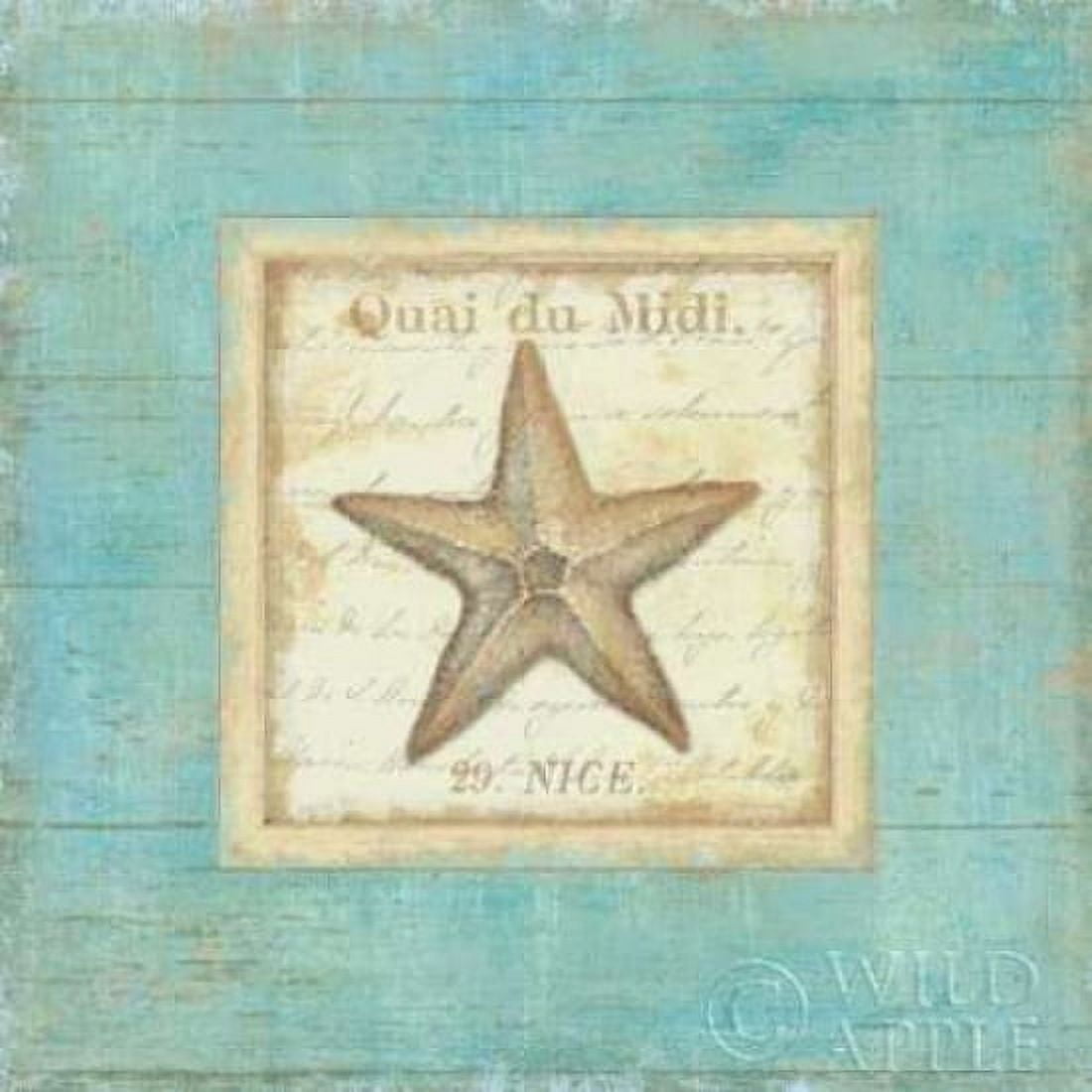 Bijou de Mer IV Canvas Art - Daphne Brissonnet (24 x 24)