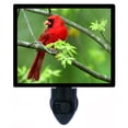 thumbnail image 1 of Night Light - Cardinal. | Bijrd Theme, Includes Free Switchable Insert, 4W Bulb, E12 Base, 1 of 2