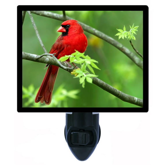 Night Light - Cardinal. | Bijrd Theme, Includes Free Switchable Insert, 4W Bulb, E12 Base