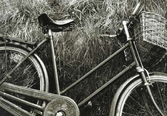 Bike I Canvas Art - Stuart Roy (12 x 18)