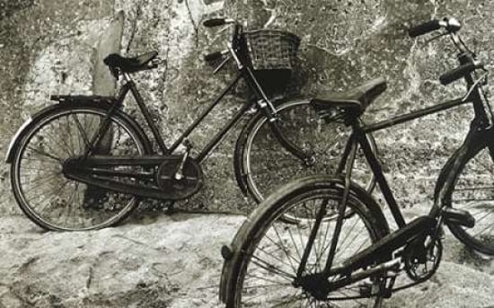Bike II Canvas Art - Stuart Roy (24 x 36)