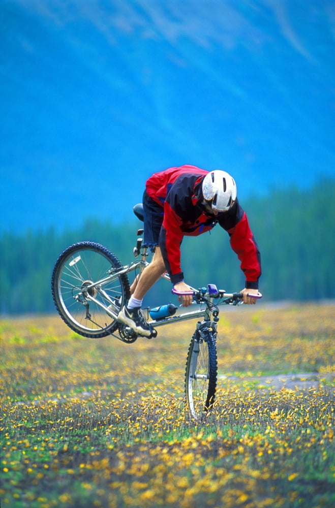 Bike Stunt Canvas Art - Corey Hochachka Design Pics (11 x 17)