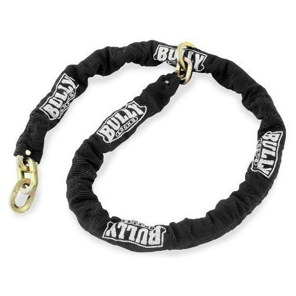 BikeMaster 5-1/2 ft. Chain Black