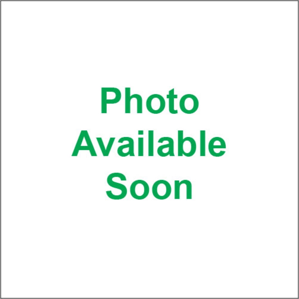 BikeMaster Honda Voltage Regulator