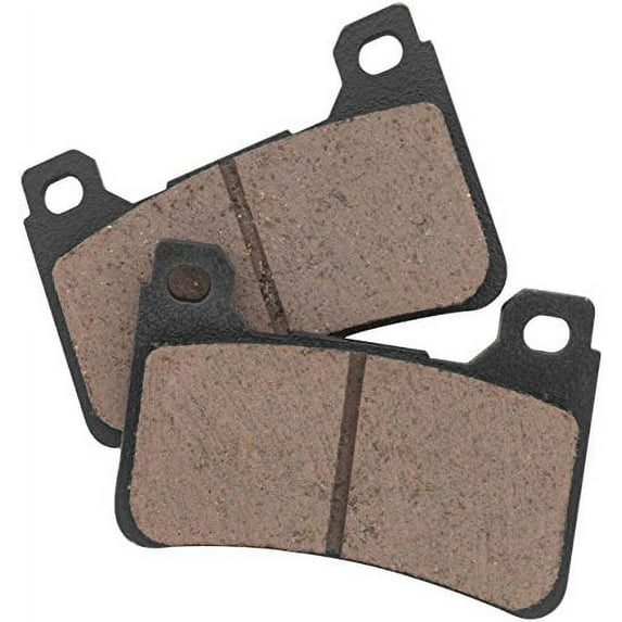 BikeMaster Sintered Rear Motorcycle Brake Pads Compatible for Polaris Trail