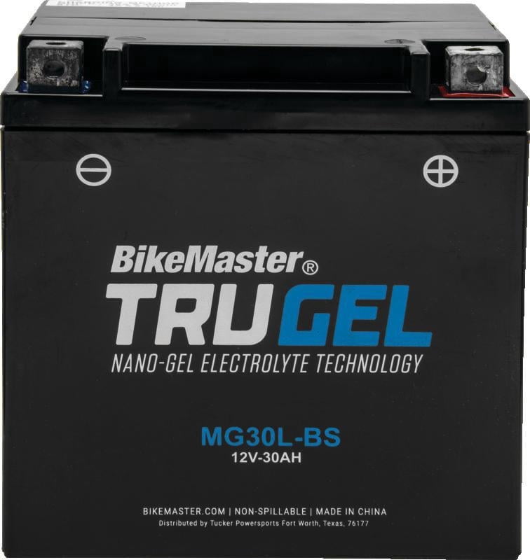 163465 Battery for Auto and Lawn Equipment