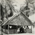 thumbnail image 1 of Bikini Islanders In Their Thatched Roof Home History (18 x 24), 1 of 1