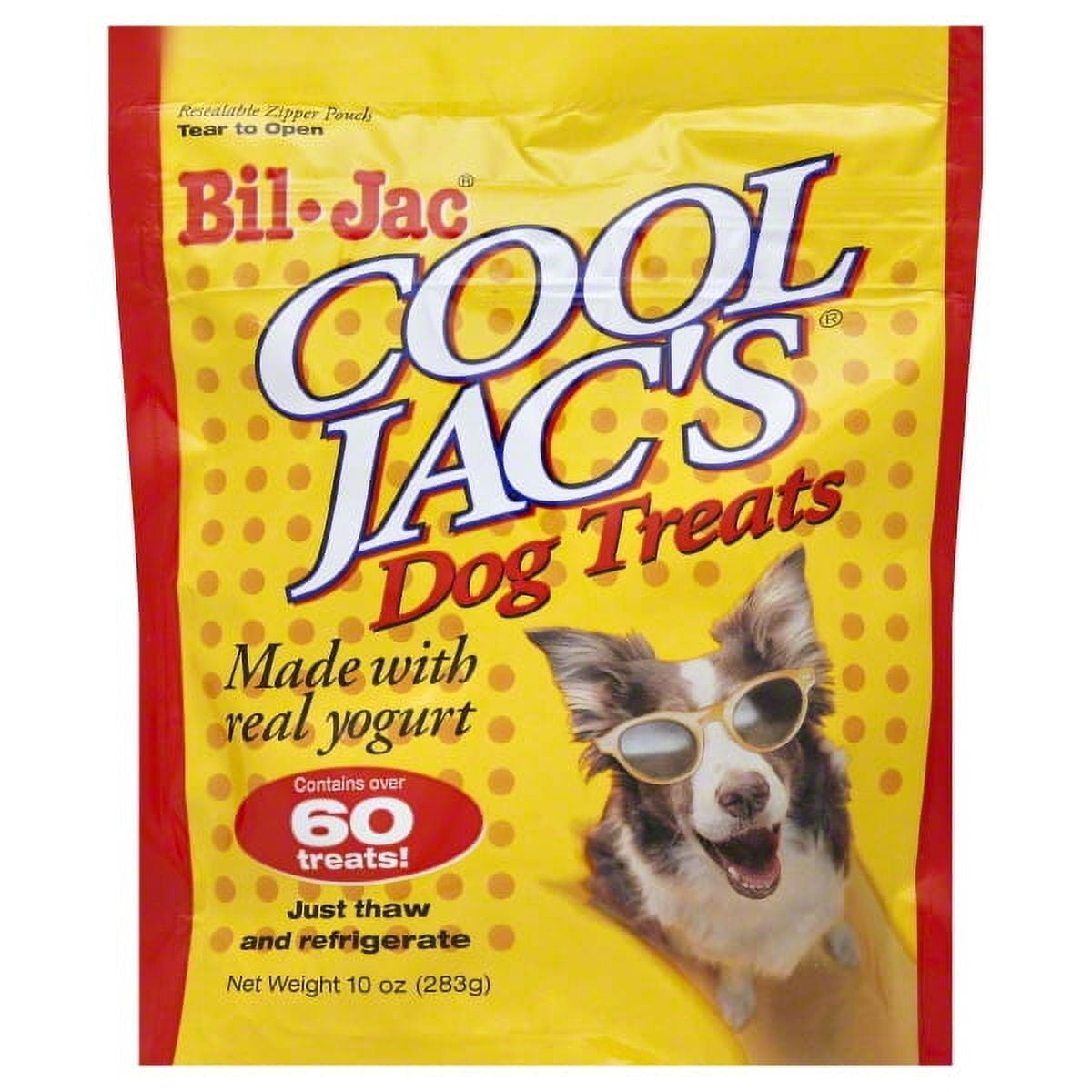 Frozen Treats for Dogs — Homeskooling 4 Dogs