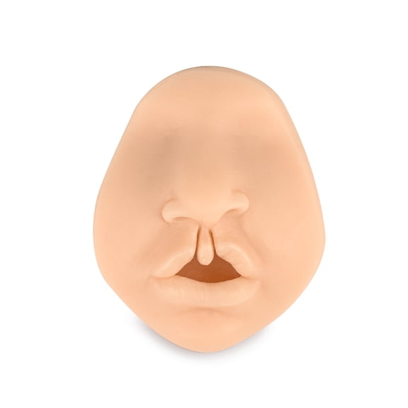 Bilateral Cleft Lip Model, Cleft Lip Suture Training Simulator