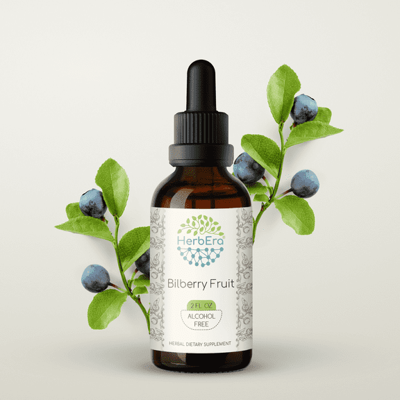 HerbEra Bilberry Fruit Tincture, Herbal Dietary Supplement for Vision Support, Bilberry (Vaccinium myrtillus) Dried Fruit Extract, Natural, Alcohol-Free, Drops 2 oz
