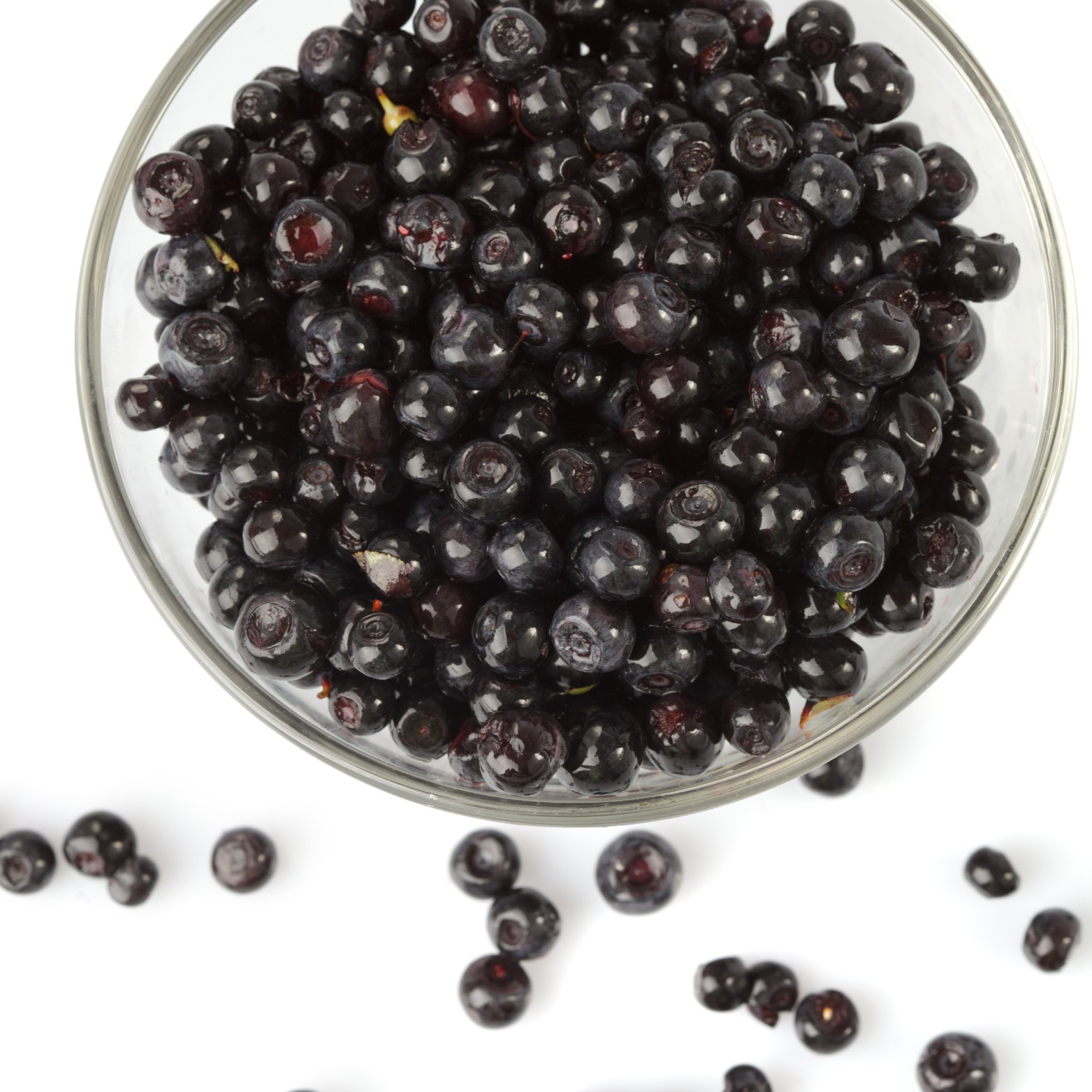 Bilberry Fruit, Exotic Berries, Berries Whole, Berries Dried, Berries
