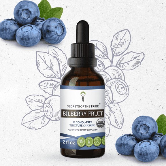 Secrets Of The Tribe Bilberry Fruit Organic Dietary Supplement, Natural Herbal Tincture for Vision Support, Certified Organic Bilberry (Vaccinium myrtillus) Dried Fruit, Alcohol-Free Extract, 2 oz