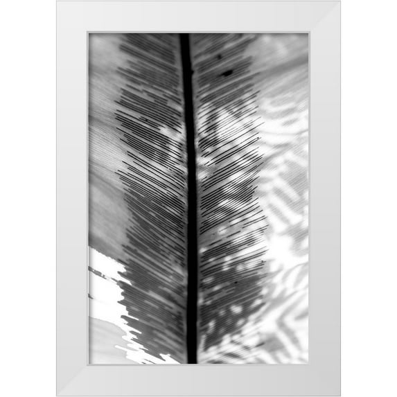 Bill Carson Photography 11x14 White Modern Wood Framed Museum Art Print Titled - BW Leaf