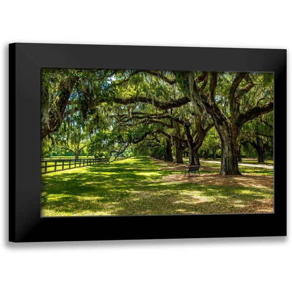 Bill Carson Photography 14x10 Black Modern Framed Museum Art Print Titled - Boone Hall