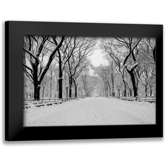 Bill Carson Photography 14x11 Black Modern Framed Museum Art Print Titled - The Mall Washington DC