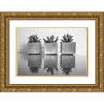 thumbnail image 1 of Bill Carson Photography 18x13 Gold Ornate Wood Framed with Double Matting Museum Art Print Titled - Potted Succulent, 1 of 4