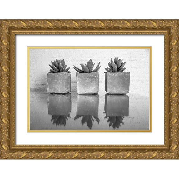 Bill Carson Photography 18x13 Gold Ornate Wood Framed with Double Matting Museum Art Print Titled - Potted Succulent