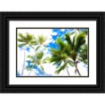 thumbnail image 1 of Bill Carson Photography 24x17 Black Ornate Wood Framed with Double Matting Museum Art Print Titled - Hawaii Oahu Palms, 1 of 4
