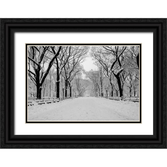 Bill Carson Photography 24x17 Black Ornate Wood Framed with Double Matting Museum Art Print Titled - The Mall Washington DC