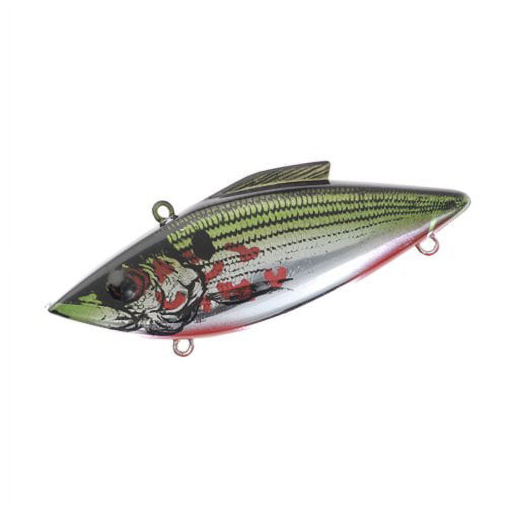 Catch Co 10,000 Fish Yoto Worm Soft Plastic Creature Bait Fishing