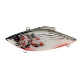 Fishing Lures Sports & Outdoors –