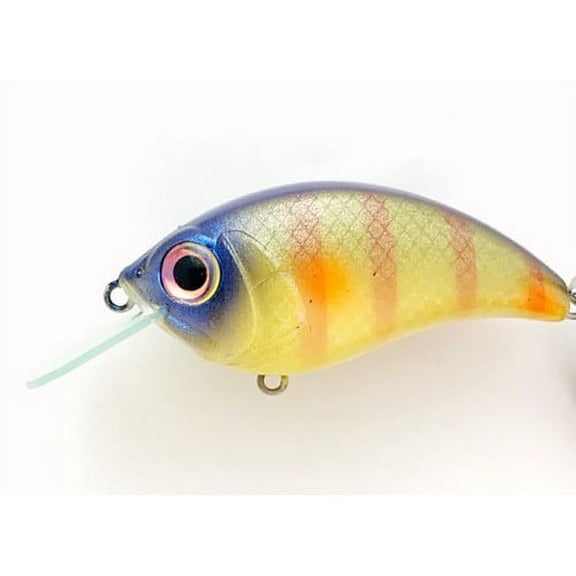 Bill Lewis SB697 Squarebill 3/8 oz Bluegill Crankbait Fishing Freshwater Lure