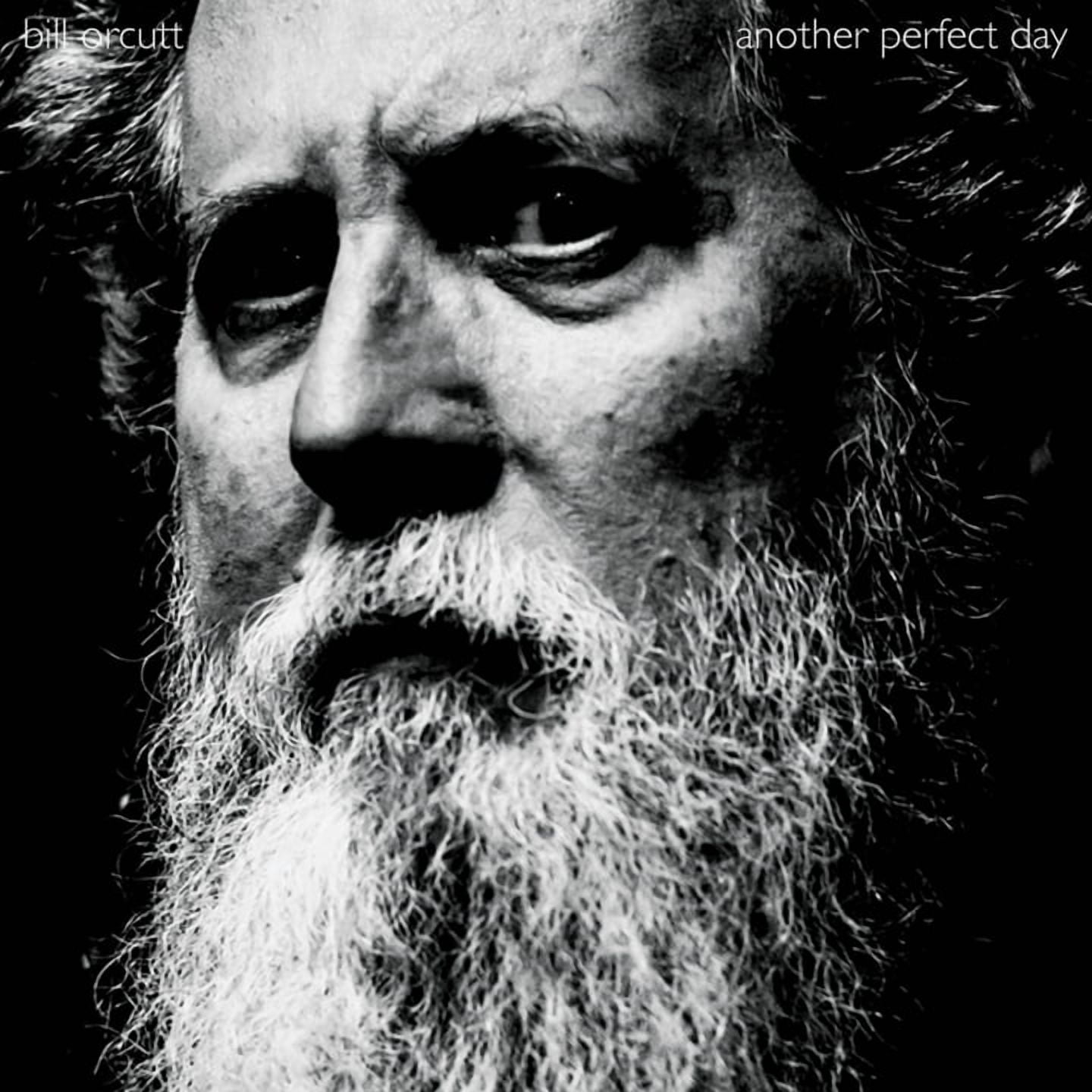 Bill Orcutt - Another Perfect Day - Music & Performance - Vinyl