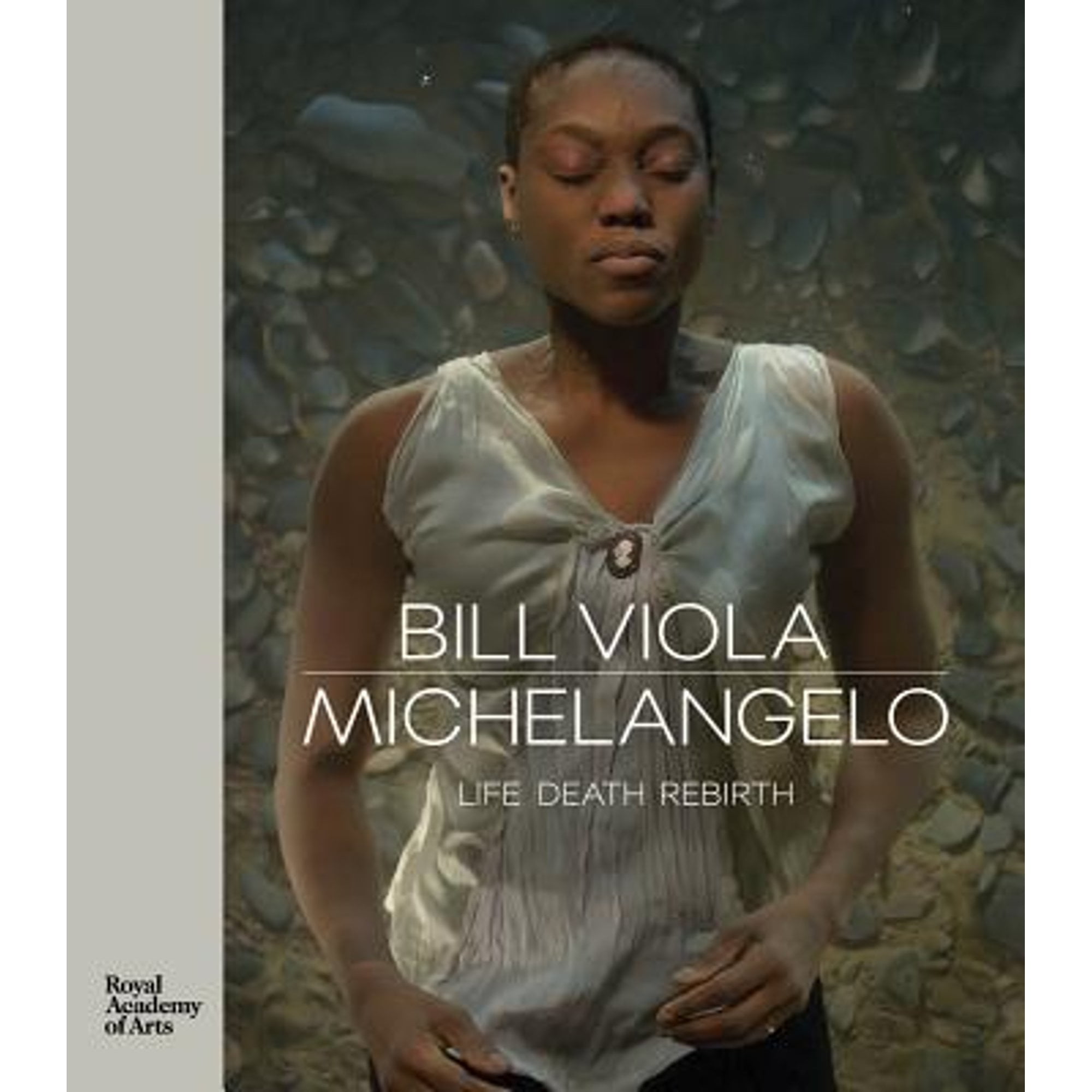 Pre-Owned Bill Viola / Michelangelo: Life Death Rebirth (Hardcover 9781910350997) by Martin Clayton, Kira Perov