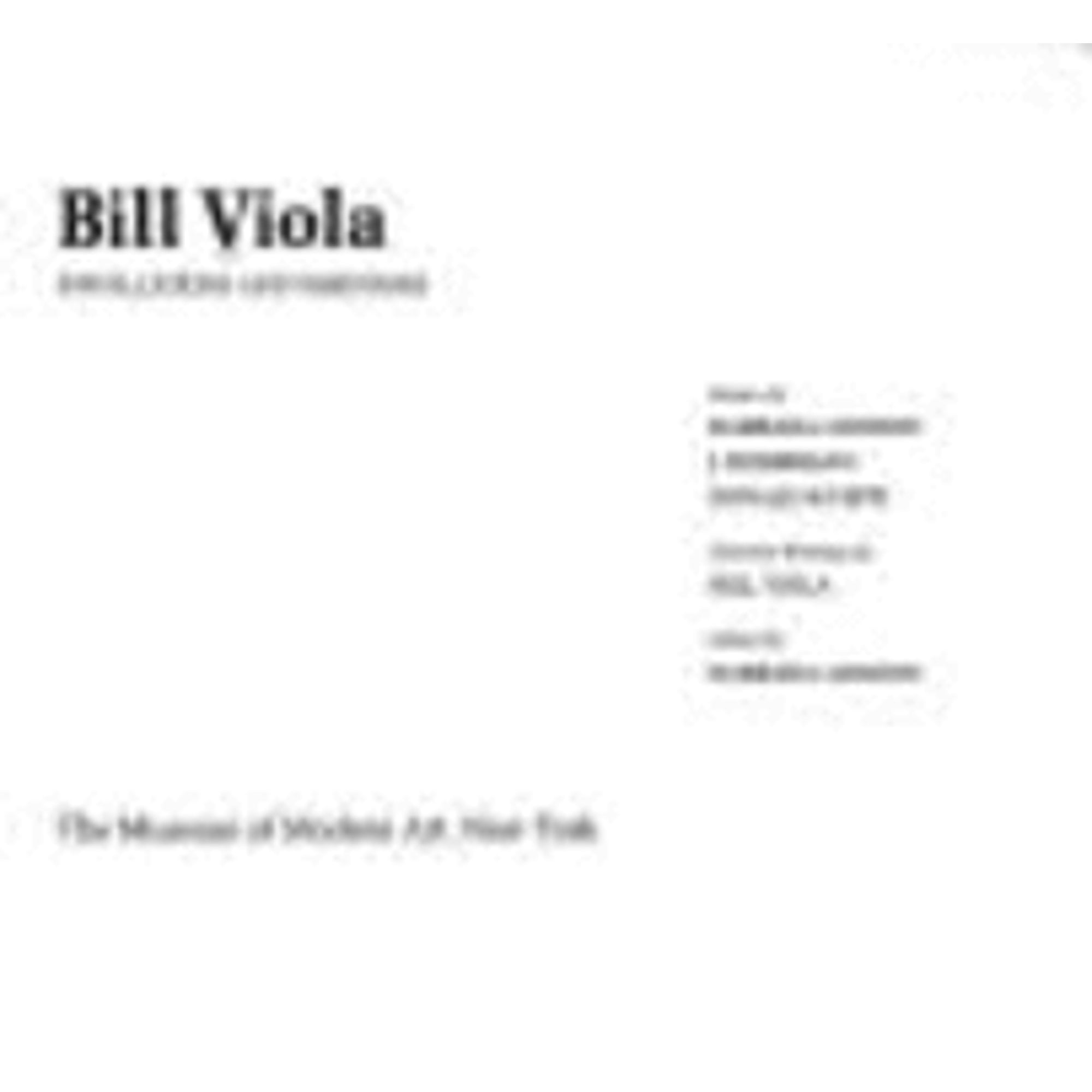 Pre-Owned Bill Viola (Paperback) by Bill Viola, Barbara London, James Hoberman