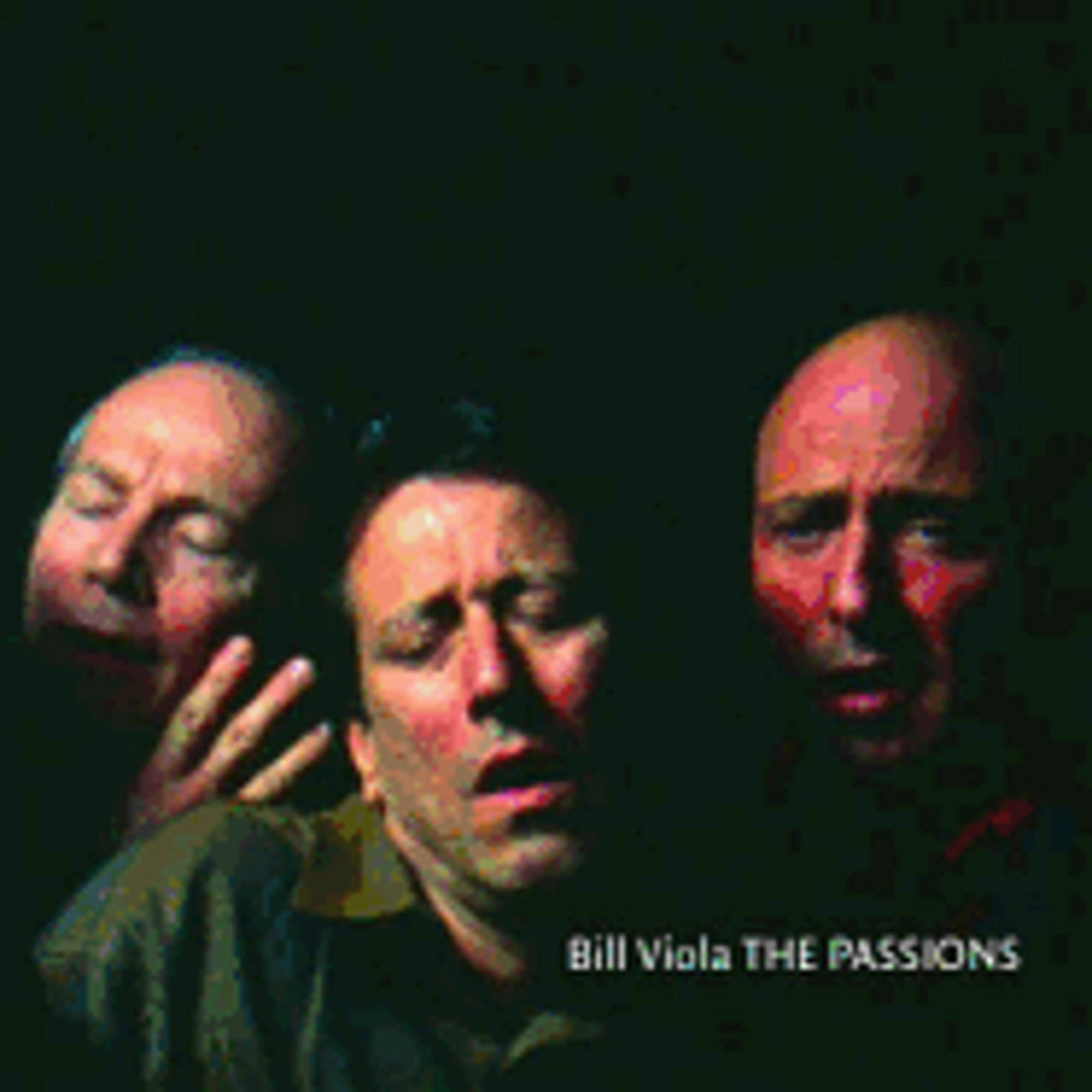 Pre-Owned Bill Viola: The Passions (Paperback) 0892367202 9780892367207
