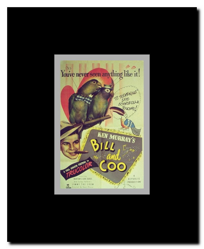 Bill and Coo Framed Movie Poster