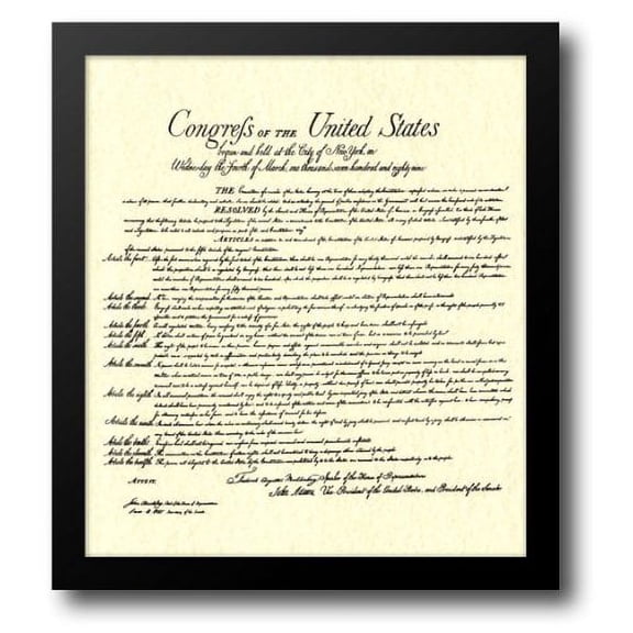 Bill of Rights (Document) 18x20 Framed Art Print