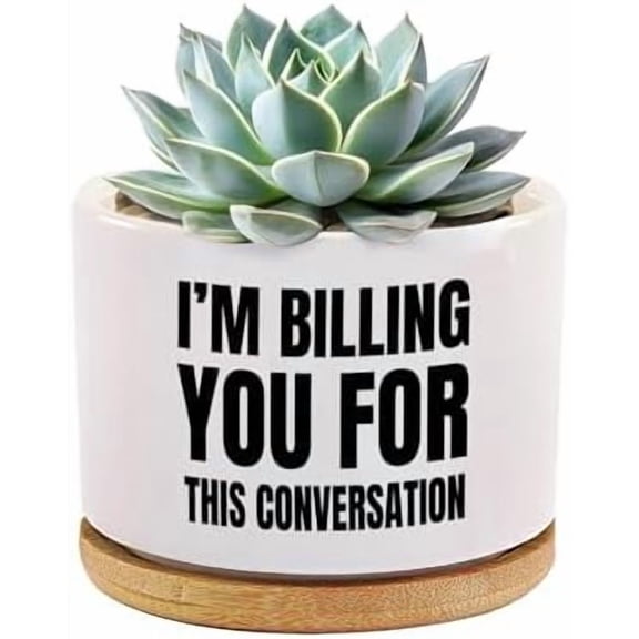 I'm Billing You for This Conversation Lawyer Gifts Succulent Plant Pot with Bamboo Tray Round Attorney Law Student Graduation Gifts Plant Lover Home Office Decor 3.5 Inch White (No Plants)