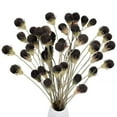 thumbnail image 1 of Billy Balls Artificial Flower,Flowers for Decoration Bouquet for DIY Floral Arrangement Party Table Home (12 Pack), 1 of 9