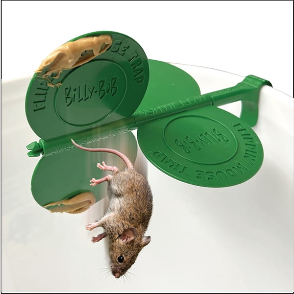 Billy-Bob Flippin 5 Gallon Bucket Mouse Trap | Made in America, No Kill Humane Catch and Release, Reusable Trap, Effective Pest Control