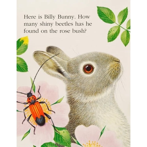 Pre-Owned Billy Bunny Touch and Feel Board Book A Touch and Feel Book Touch Feel Board Books Paperback A.J.; Pledger Wood