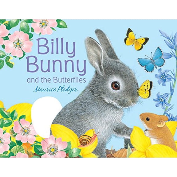Pre-Owned Billy Bunny and the Butterflies (Hardcover) by Maurice Pledger