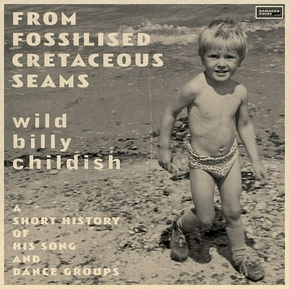 Billy Childish - From Fossilised Cretaceous Seams: A Short History Of His Song And Dance Groups - Music & Performance - Vinyl