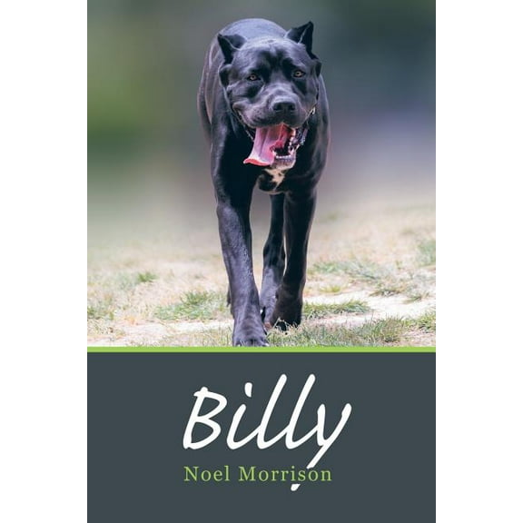 Billy (Paperback)