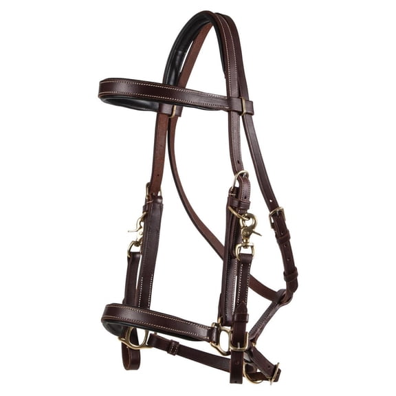 Billy Royal Deluxe Trail Halter for Horses Bridle Combo | Color Black