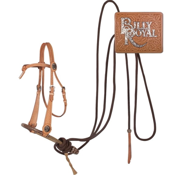 Schneiders Bosal Set W Futurity Headstall | Stylish Accents | Light Oil/ Natural