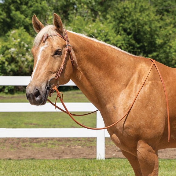 Billy Royal Harness Leather Quick Change Horse Bridle | Handcrafted Leather | Full Horse