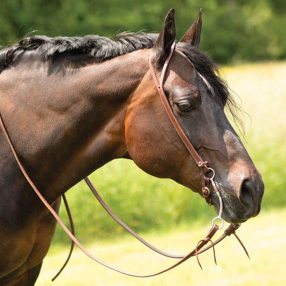 Billy Royal Oiled Herman Oak Split Ear Headstall with Floral Buckle | Full Horse