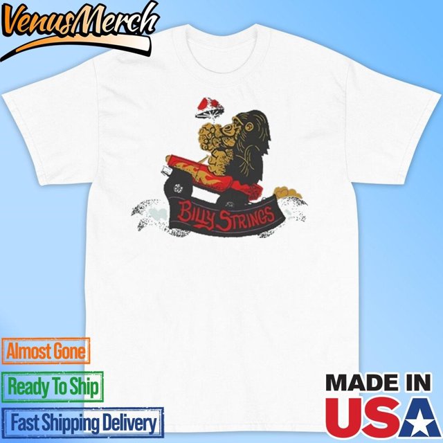 Billystringssept242024taylorsvillegraywhaleusconcertshirt