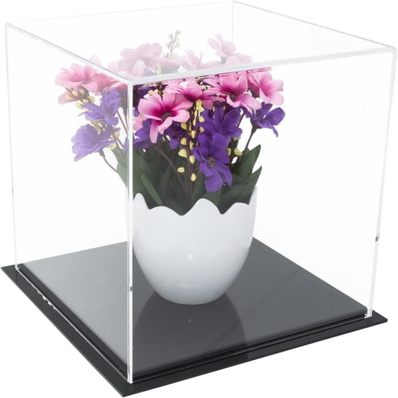 Bilot Versatile Display Case, Cube, Dust Cover or Riser with Black Base 8" x 8" x 8" (V32/A059)
