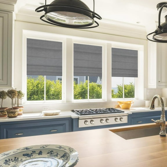 Biltek Gray Roman Shades Total Blackout Window Blinds Inside/Outside Mount Thermal Washable Fabric  27"W x 64"H