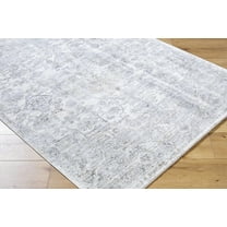 Bimala Traditional Area Rug - Light Gray, Cream, Tan - 18" x 18" Sample